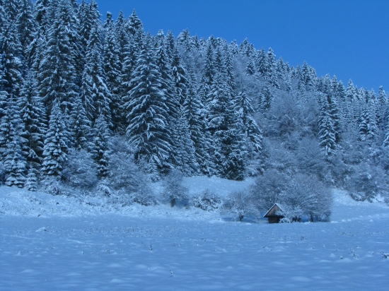 Zima 2010