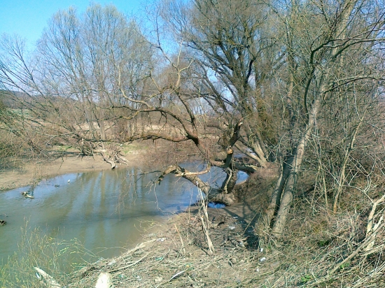 Zdanlivý pokoj