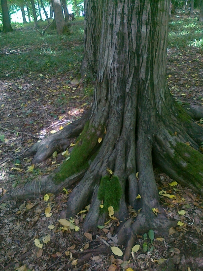 Na pevných základoch