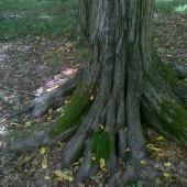 Na pevných základoch