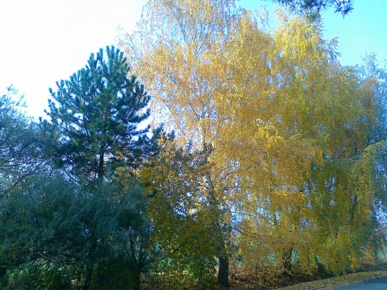 Jesenná kombinácia