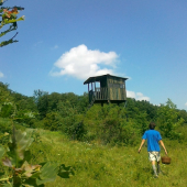 Na potulke za hubami...