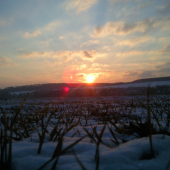 Večerné pohľady
