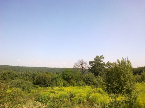Furčiansky les
