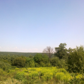 Furčiansky les
