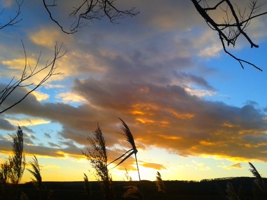 Z mojich najobľúbenejších-1