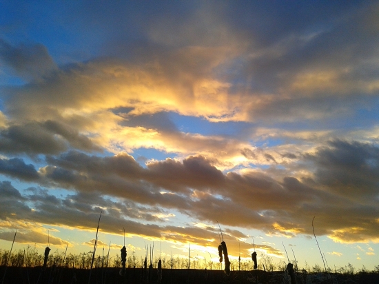 Z mojich najobľúbenejších-2