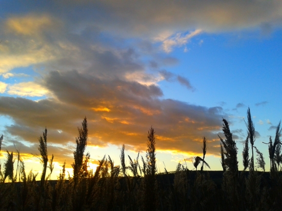 Z mojich najobľúbenejších-3