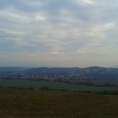 ...od lesa