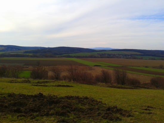 Pohľad na krajinku a prácu diviakov
