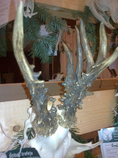 Z chov.prehliadky KE-okolie 1