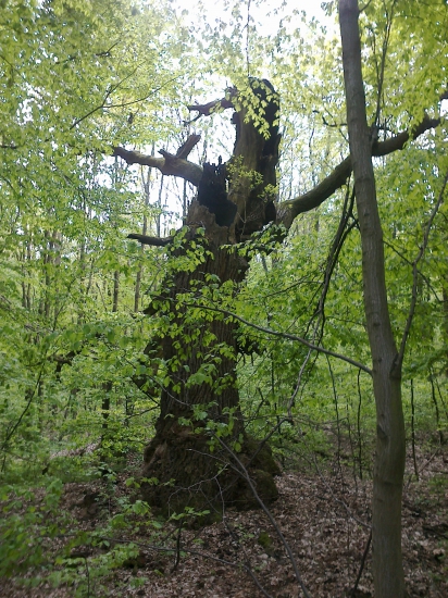 Strašidlo