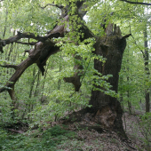 ... to isté z inej strany