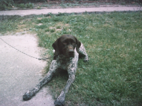 Konečne pôjdeme von