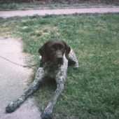 Konečne pôjdeme von