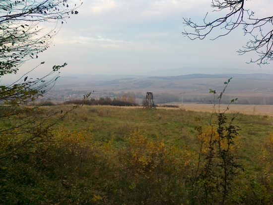 Posed v pozadí