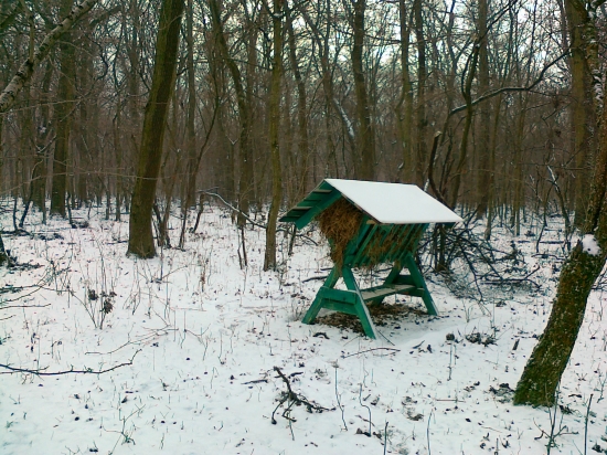 Krmelec pre srnčiu zver