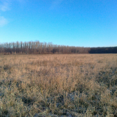 Pred rokom úrodná pôda ...