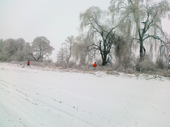 Zo spoločnej 2.1.11