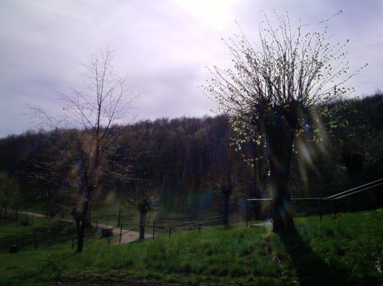Príroda na Sv.Anne