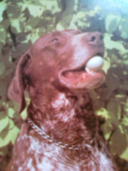 Jemnosť patrí k profesii