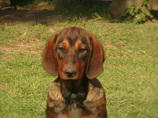 asta od Zbojnickej studne