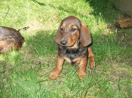 asta od Zbojnickej studne