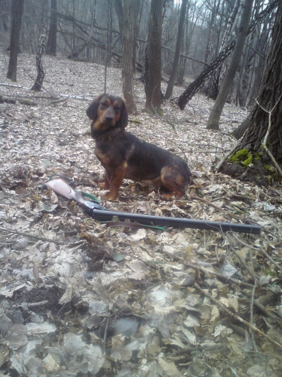 asta od zbojnickej studne