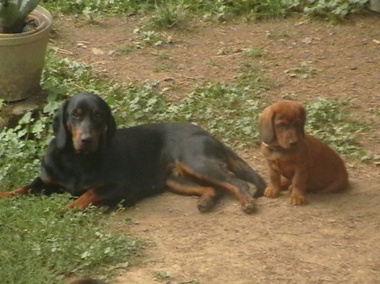 stena ajd pod ochranou kopovky