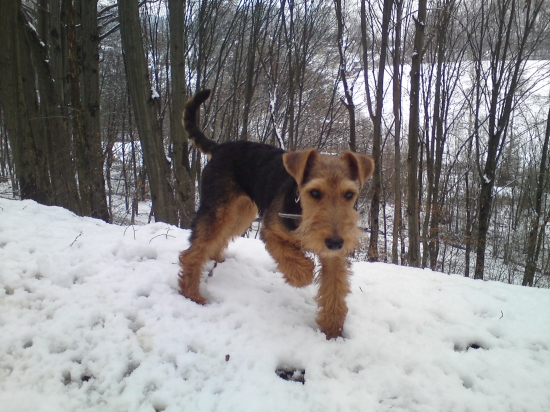 Vera z Bôrovej dolinky