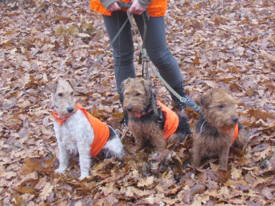 Na spoločnej polovačke :-))