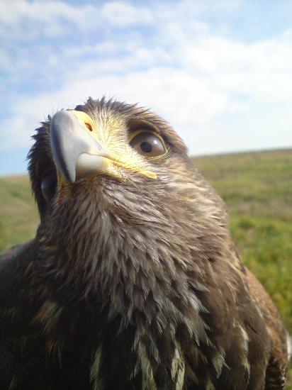 ... oj nefoť ma ...