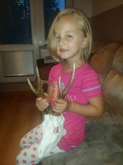 Zlatý srnec a naše zlato