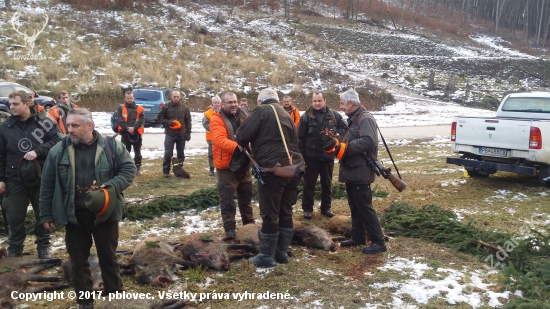 Spoloč.polovačka na diviačiu zver Dubnica -Kral nadhánky