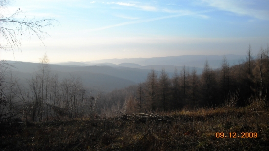 krajina bez snehu v decembri