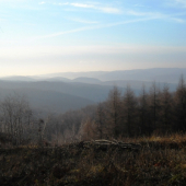 krajina bez snehu v decembri