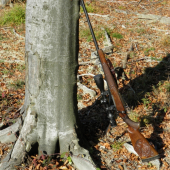 moja verná spoločníčka