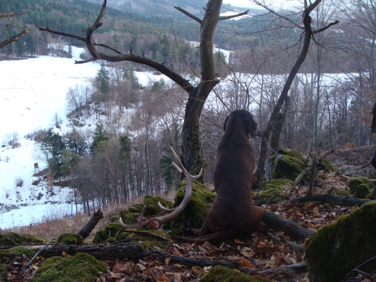 Nedeľná prechádzka