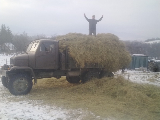 Prikrmuje sa naďalej