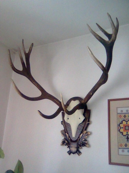 zhody už nahodené :)