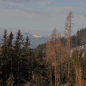 nezvyčajný február ...