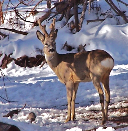 na zimnom slniečku ...