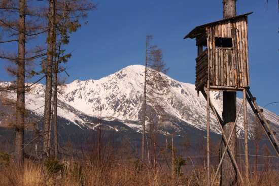 pod Slavkovským ...