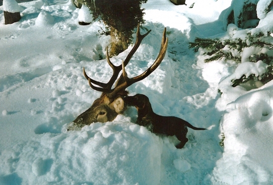 Už len spomienky II.