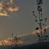 posledné obzretie ...