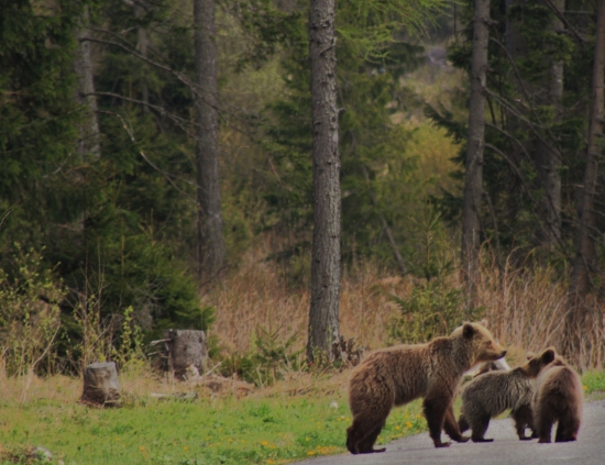 stopujeme ďalej ...