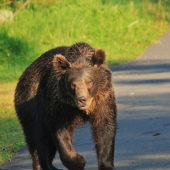 začalo trochu hustnúť