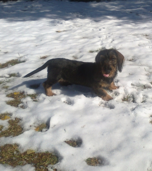 je to nejaké studené ...