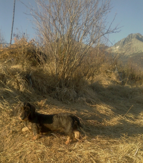 trochu som podrástol