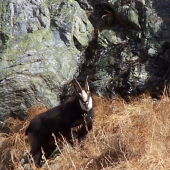 Turisti sú mi ukradnutý !